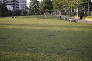 afternoon, England, eye level view, grass, greenery, ground, London, open space, outdoors, park, shady, The United Kingdom