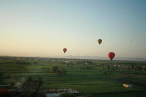 aerial view, balloon, dusk, East Timor, Egypt, Egypt, palm, vegetation