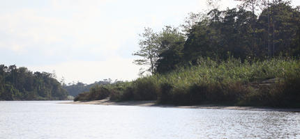 bright, Brunei, day, eye level view, forest, river, summer, sunny, tropical