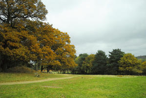 afternoon, autumn, bench, cloudy, day, deciduous, England, eye level view, grass, lawn, open space, outdoors, park, path, The United Kingdom, tree, treeline, vegetation, Wimbledon