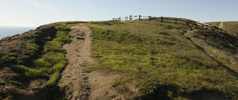 afternoon, autumn, California, day, eye level view, grass, hill, natural light, outdoors, path, plant, San Francisco, sunlight, sunny, sunshine, The United States, uphill