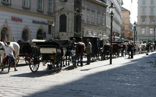 Austria, carriage, coach, day, direct sunlight, eye level view, floor, horse, natural light, pavement, pavement, plaza, square, summer, sunlight, sunny, sunshine, Vienna, Wien