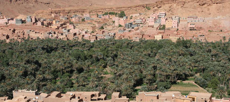 building, day, desert, direct sunlight, elevated, greenery, house, landscape, Morocco, natural light, Ouarzazate, outdoors, palm, park, sunlight, sunny, sunshine, town, tree