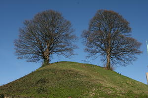 below, day, England, grass, hill, Oxford, The United Kingdom, tree, vegetation, winter