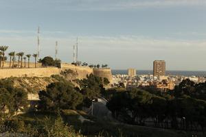 Alicante, cityscape, dusk, elevated, Spain, tree, Valenciana, vegetation