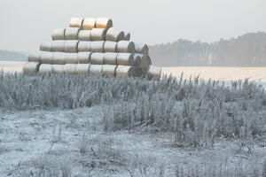 Poland, Wielkopolskie