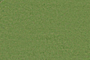 grass, orthogonal, texture