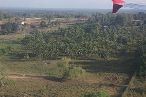 aerial view, Brunei, day, summer, sunny, tropical, woodland