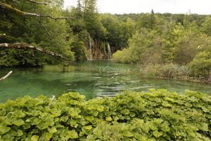 Croatia, day, diffuse, diffused light, eye level view, Karlovacka, lake, natural light, plant, shrub, summer, woodland