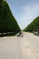 day, eye level view, family, France, group, Ile-De-France, landmarks, Palace of Versailles, Paris, park, path, pavement, people, spring, summer, summer, sunny