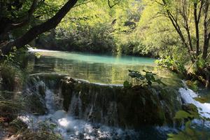 Croatia, day, eye level view, Karlovacka, lake, sunny, tree, vegetation, waterfall