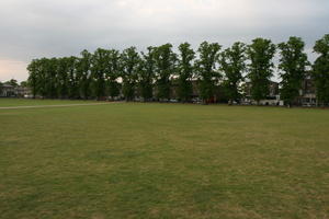 afternoon, Cambridge, day, England, eye level view, grass, lawn, park, spring, The United Kingdom, tree, vegetation