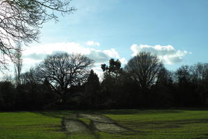 day, England, eye level view, grass, London, park, sunny, The United Kingdom, tree