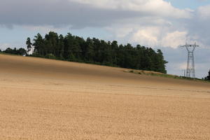 Bourgogne, crop, day, Dijon, eye level view, field, France, natural light, tree, utility pole