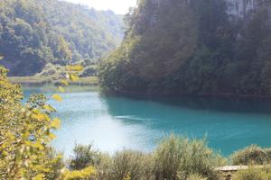 bush, Croatia, day, elevated, Karlovacka, lake, tree, vegetation