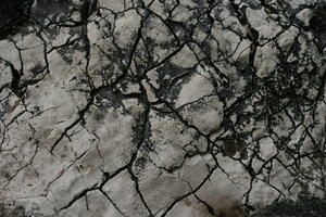 close-up, Croatia, Croatia, day, natural light, rock, stone