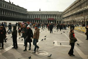 architecture, bird, building, day, eye level view, group, Italia , people, Piazza San Marco, pidgeons, square, Veneto, Venice, winter