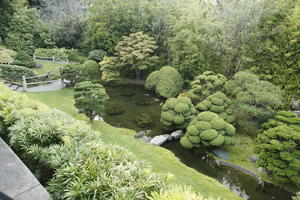 autumn, California, day, diffuse, diffused light, elevated, manicured trees, park, pond, San Francisco, shrub, The United States, tree