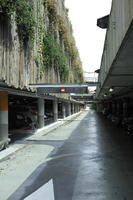 airport, autumn, day, eye level view, floor, France, hanging, Nice, parking, plant, Provence Alpes Cote D