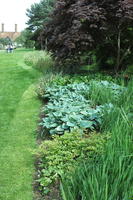 day, elevated, England, garden, natural light, park, plant, The United Kingdom, Woking