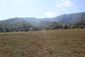 Croatia, day, eye level view, field, grass, Karlovacka, mountain, sunny, woodland