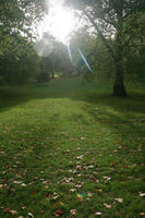 autumn, day, England, eye level view, grass, leaves, London, park, sun glare, sunny, The United Kingdom