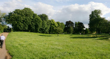 broad-leaf tree, broad-leaved tree, day, England, eye level view, grass, London, park, summer, sunny, The United Kingdom, treeline