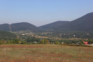 Croatia, day, eye level view, field, grass, Karlovacka, mountain, sunny, woodland