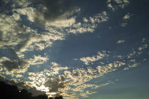 afternoon, autumn, backlight, cloud, cloudy, Cumulus, day, eye level view, natural light, open space, sky