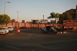 carriage, day, dusk, East Timor, Egypt, Egypt, eye level view, man, natural light, sign, street, tree, vegetation, walking