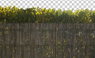 cutout, cutout plants, day, eye level view, fence, sunny, vegetation