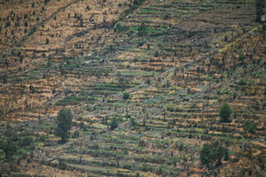 Arequipa, Arequipa, autumn, day, elevated, natural light, Peru, sunny, valley, Valley of Volcanoes, vegetation