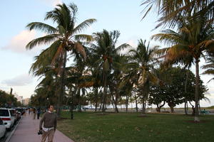 day, dusk, eye level view, Florida, grass, Miami, palm, park, The United States, tropical, vegetation