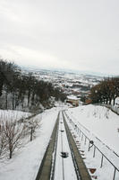 ambient light, day, elevated, Italia , Mondovi, overcast, Piemonte, snow, track, tree, winter