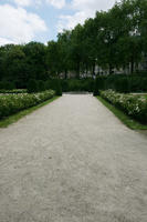 Belgium, Brussels, bush, day, eye level view, natural light, park, path, summer, tree, vegetation