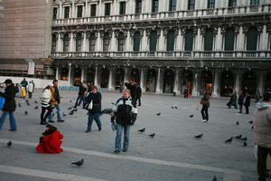 bird, building, casual, day, dusk, eye level view, group, Italia , people, Piazza San Marco, pidgeons, square, Veneto, Venice, winter