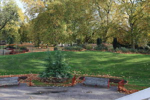 afternoon, autumn, Battersea park, bench, bush, day, elevated, England, grass, leaf, London, park, sunny, The United Kingdom, tree