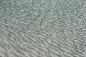 beach, day, Florida, lowered, sand, Sarasota, sunny, sunshine, The United States, water, winter