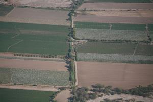 aerial view, day, field, Ica, natural light, Nazca, Peru, sunny, tree, vegetation