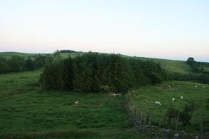 countryside, dusk, elevated, field, grass, natural light, summer, The United Kingdom, tree, vegetation, Wales