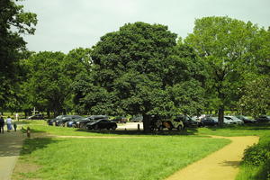 day, England, eye level view, grass, park, parking, summer, sunny, The United Kingdom, tree, vegetation, Wimbledon