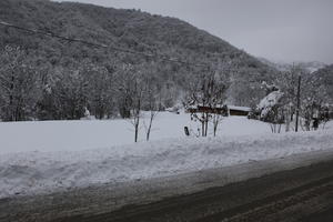 ambient light, day, diffuse, diffused light, eye level view, Italia , morning, mountain, natural light, overcast, road, snow, tree, Veneto, winter