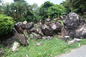 ambient light, bush, day, eye level view, garden, Kedah, Malaysia, overcast, rockery, tropical, vegetation