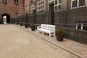 bench, Copenhagen , day, Denmark, eye level view, Kobenhavn, overcast, pavement, potted plant, winter