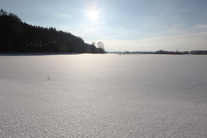 afternoon, bright, day, eye level view, field, Poland, snow, sunny, treeline, Wielkopolskie, winter