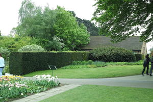 day, England, eye level view, garden, grass, natural light, park, The United Kingdom, Woking