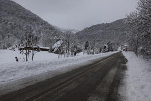 ambient light, day, diffuse, diffused light, eye level view, Italia , morning, mountain, natural light, overcast, road, snow, tree, Veneto, winter