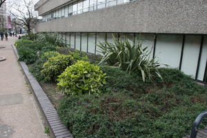 ambient light, city, day, England, eye level view, garden, London, spring, The United Kingdom, vegetation