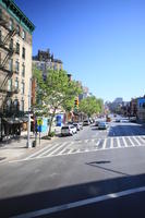 building, day, elevated, Manhattan, New York, street, sunny, The United States, tree, vegetation