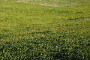 afternoon, day, elevated, field, grass, Italia , Siena, spring, sunny, Toscana, valley